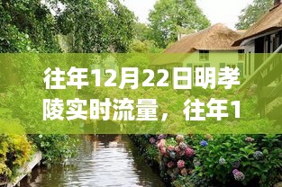 nifengfeiyang 第5页