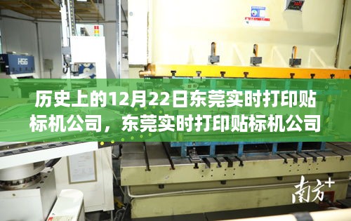 jinshanjinmei 第4页