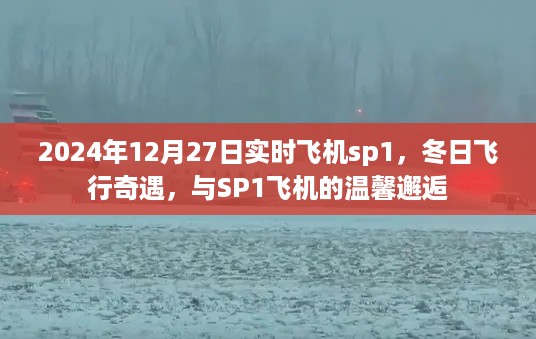 lingxingjinzhi 第4页