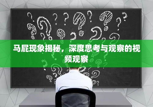 沉默的风 第3页