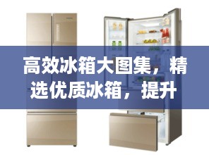 夫贵妻荣 第3页