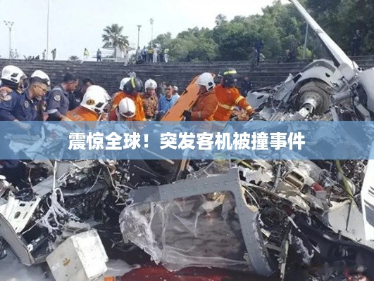 震惊全球!突发客机被撞事件