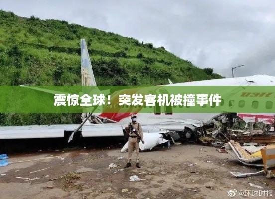 震惊全球!突发客机被撞事件