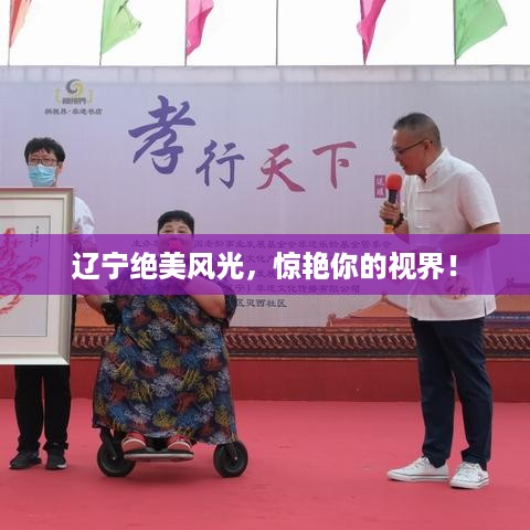 衣不兼采 第3页