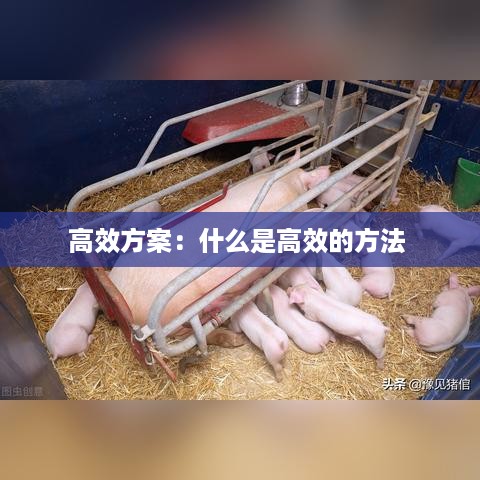浅笑轻吟梦一曲 第3页
