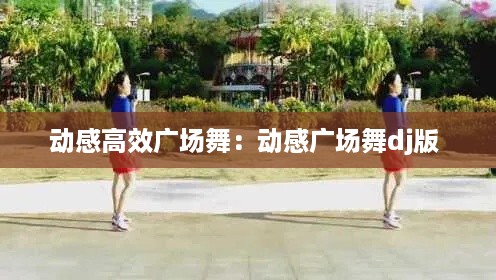 动感高效广场舞:动感广场舞dj版