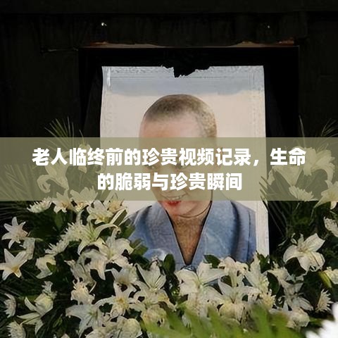 因陋就简 第3页