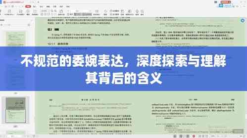 不规范的委婉表达,深度探索与理解其背后的含义