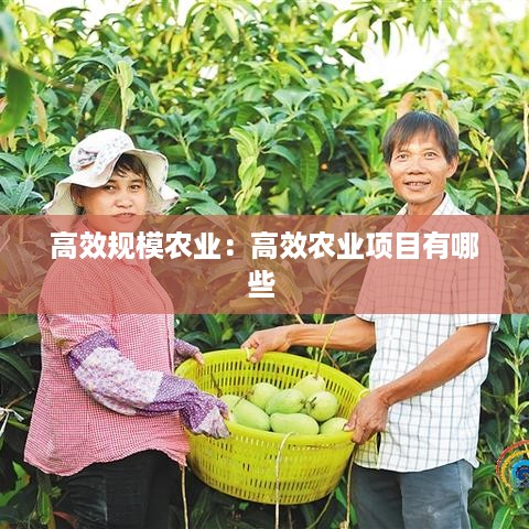 高不成低不就 第3页