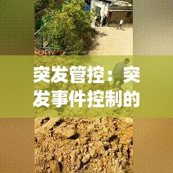 后会难期 第3页