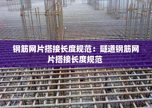 走马章台 第3页