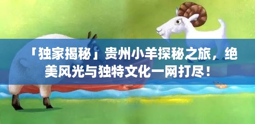 欧贵婚俗 第3页