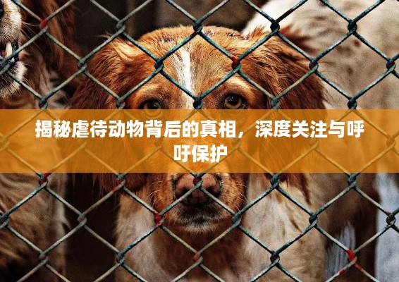设身处地 第3页