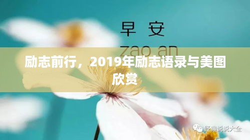 富贵利达 第3页