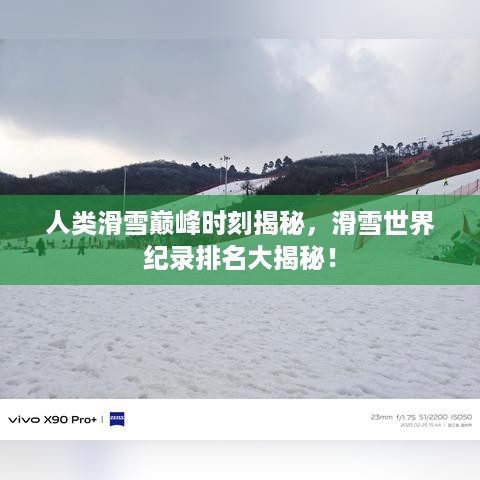 腾龙换鸟 第3页