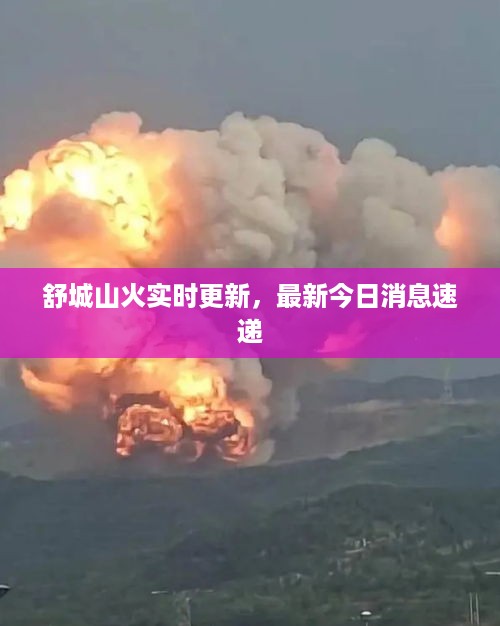 司空见惯 第3页