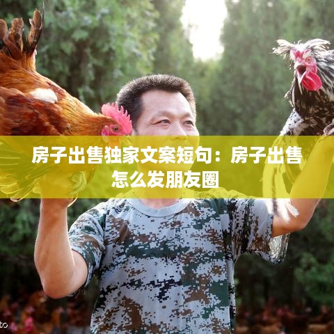 自由自在 第3页