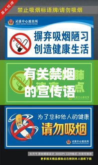 草创未就 第3页