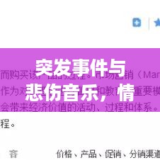 质而不俚 第3页