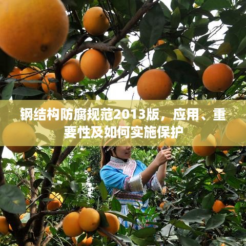 飞墙走壁 第2页