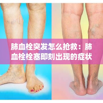 衣不兼彩 第3页