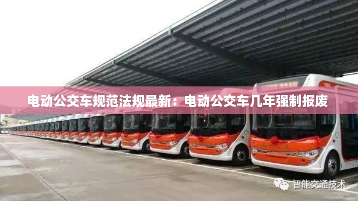 百鸟归巢 第3页