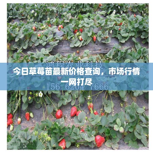 jujinghuishen 第3页