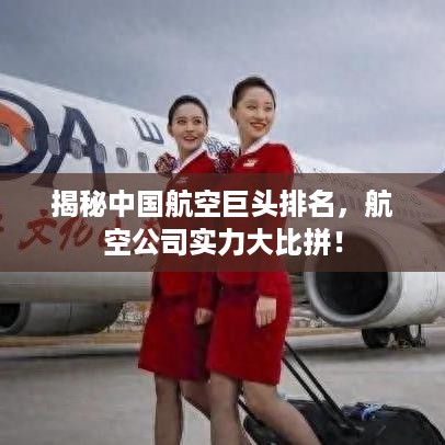 寥若晨星 第3页