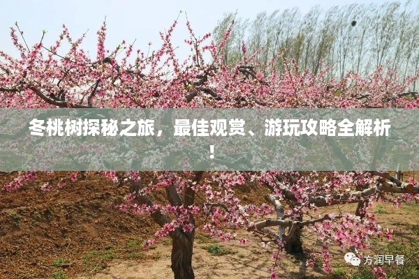 精益求精 第2页