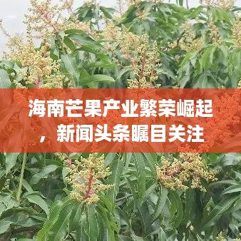标新创异 第3页