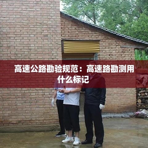 张狂妄行 第3页
