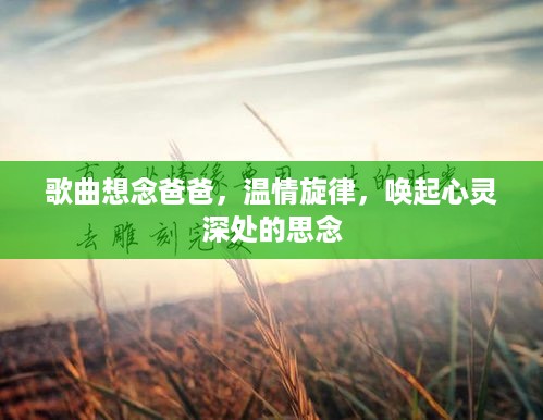 指手画脚 第3页