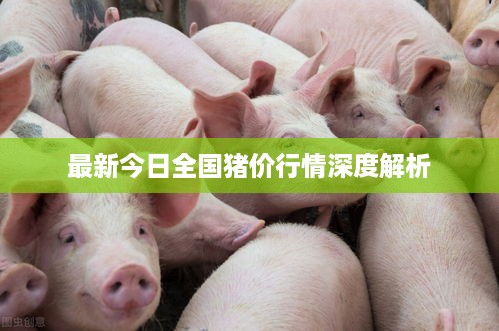滔滔不绝 第2页