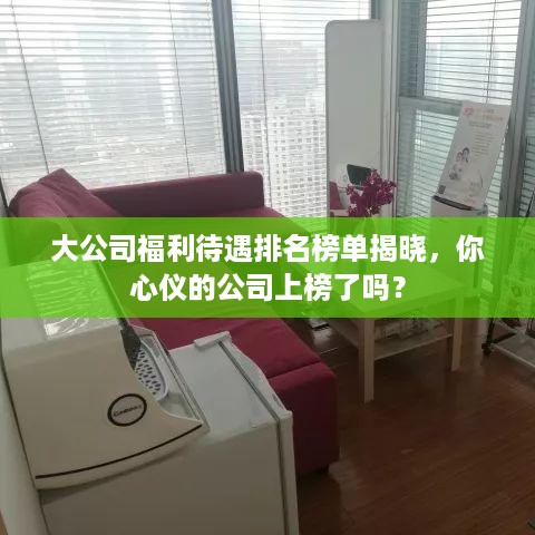 衣无二彩 第2页