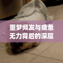 天潢贵胄 第2页