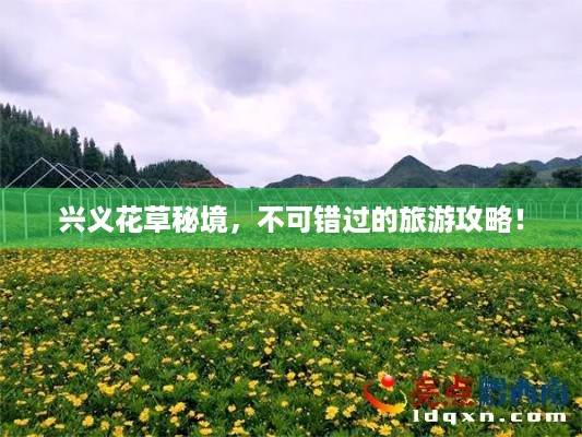 danzhuangnongmo 第2页