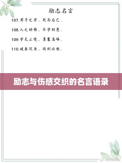 百不获一 第2页