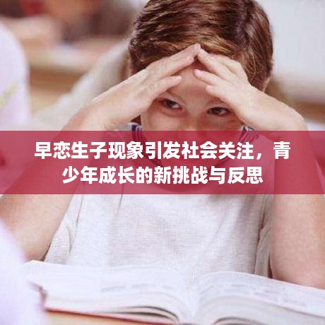 xizhaiwangqi 第2页