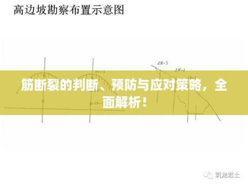 恋恋不舍 第2页