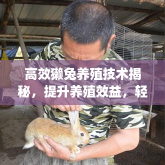 粗枝大叶 第2页