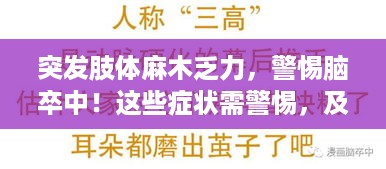 一花独放 第2页