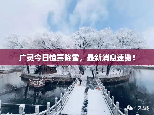 踊贵屦贱 第2页