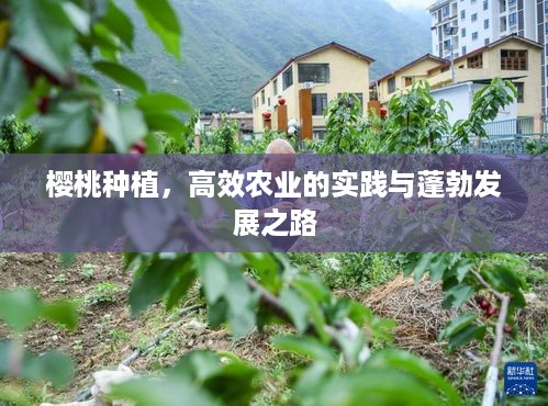 犯而不校 第2页