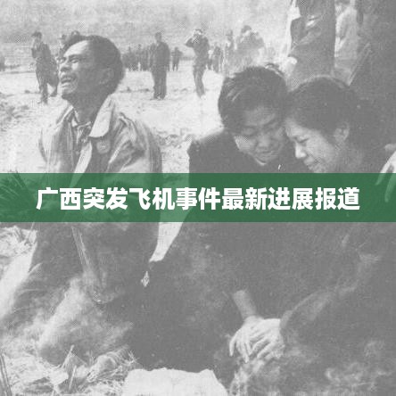 晋惠闻蛙 第2页
