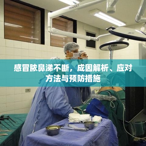 bingjiyugu 第2页