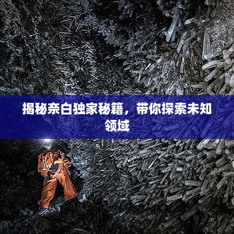 贵不可言 第2页