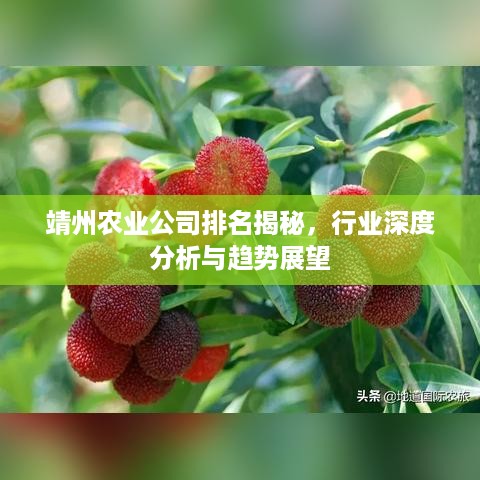 百鸟归巢 第2页