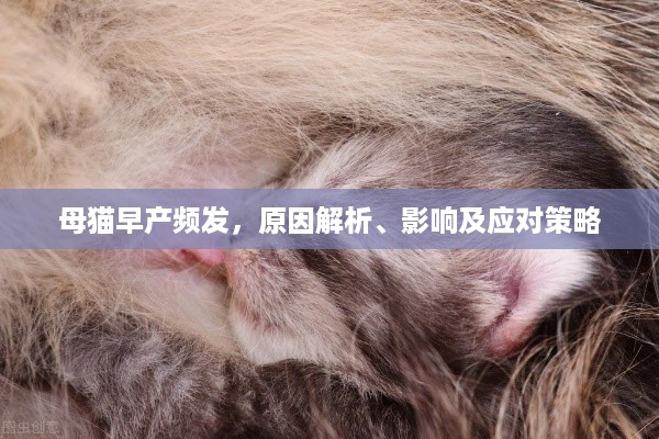 如翚斯飞 第2页