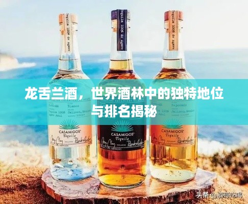小有成就 第2页