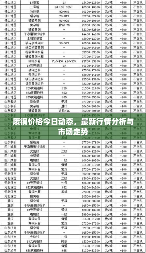 2025年5月3日 第2页